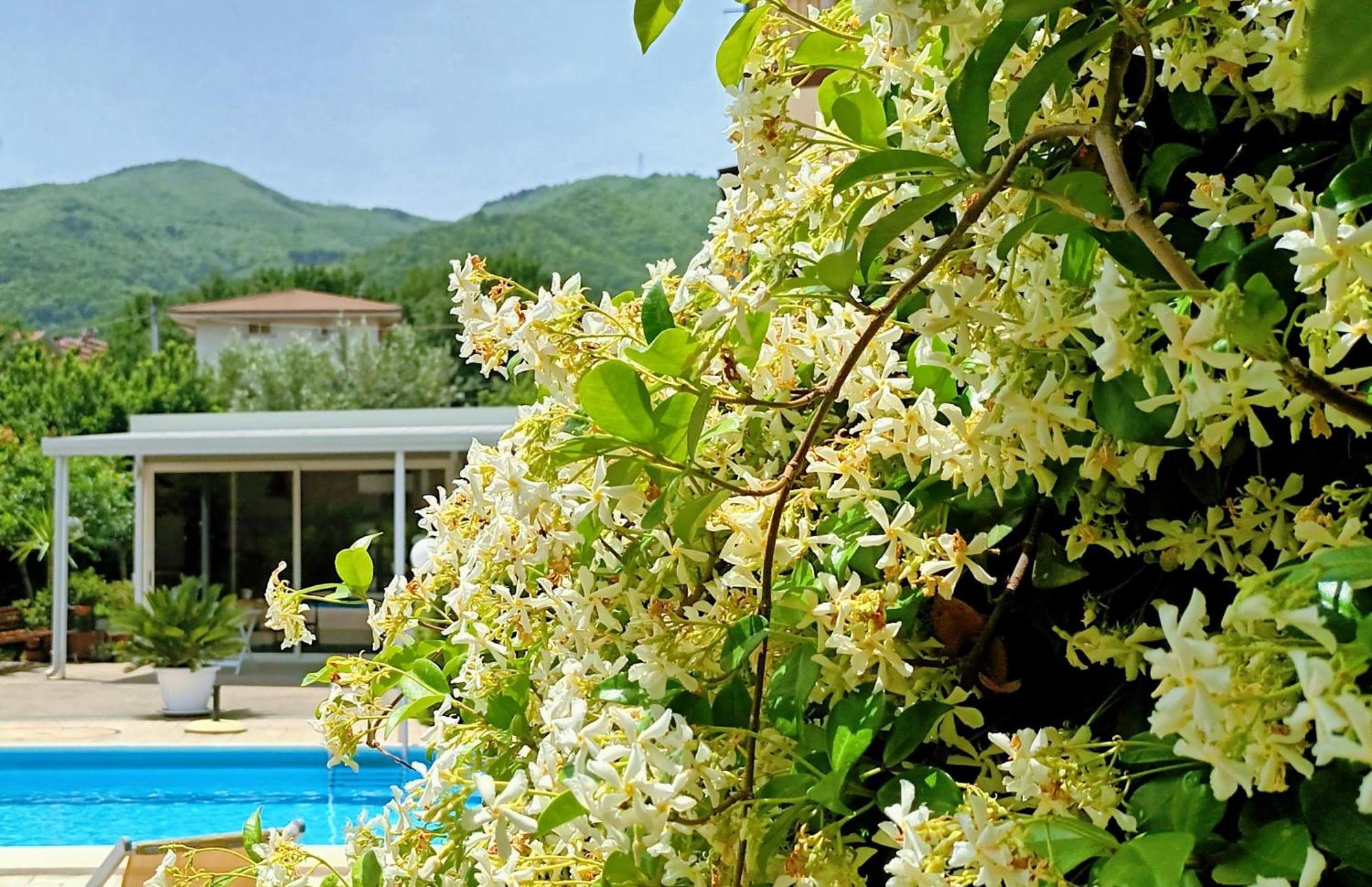 לינה וארוחת בוקר Marano Marchesato La Residenza Del Marchesato מראה חיצוני תמונה