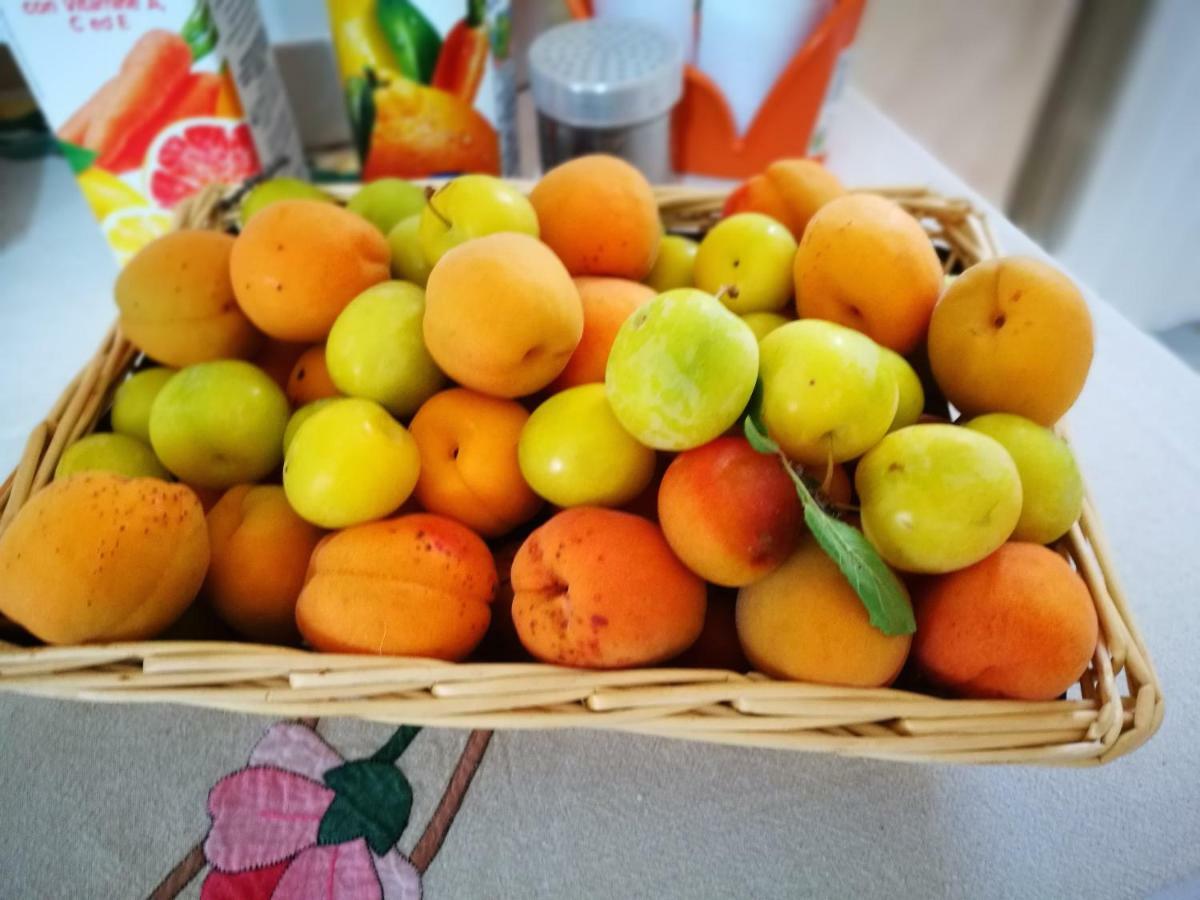 לינה וארוחת בוקר Marano Marchesato La Residenza Del Marchesato מראה חיצוני תמונה